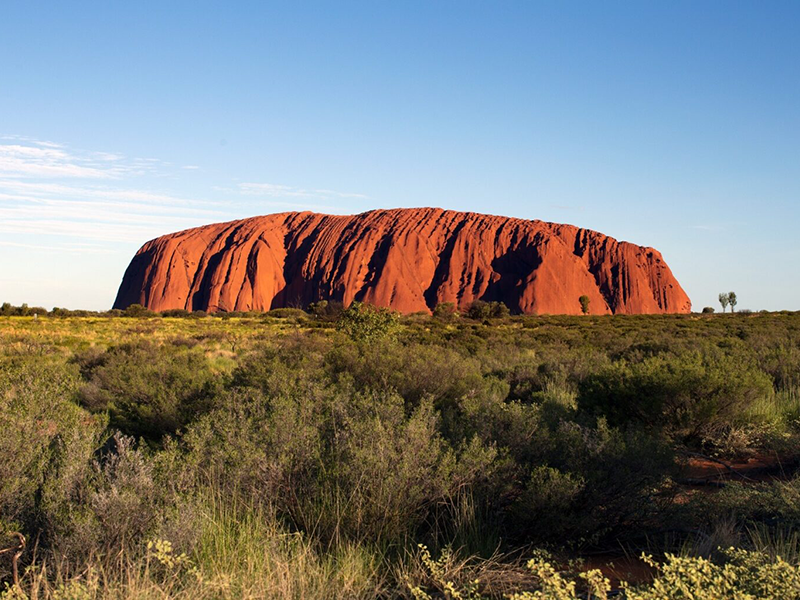 Australia & New Zealand